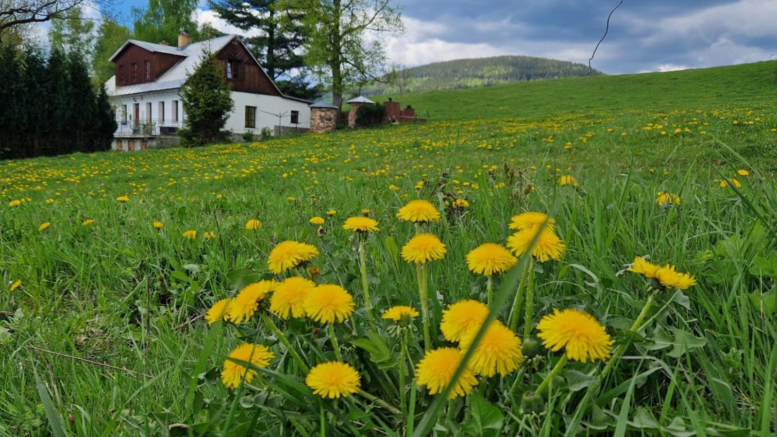 Knezice 25, Chalupa V Krkonosich Vrchlabí Esterno foto